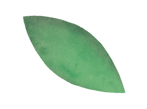 Grünes Blatt für Animationen