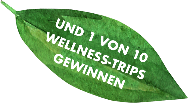 Grünes Blatt 1 von 10 Wellness Trips gewinnen