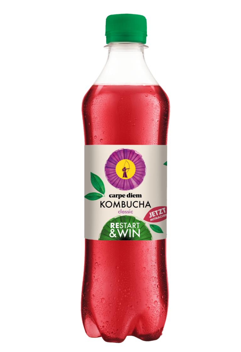 Flasche Kombucha